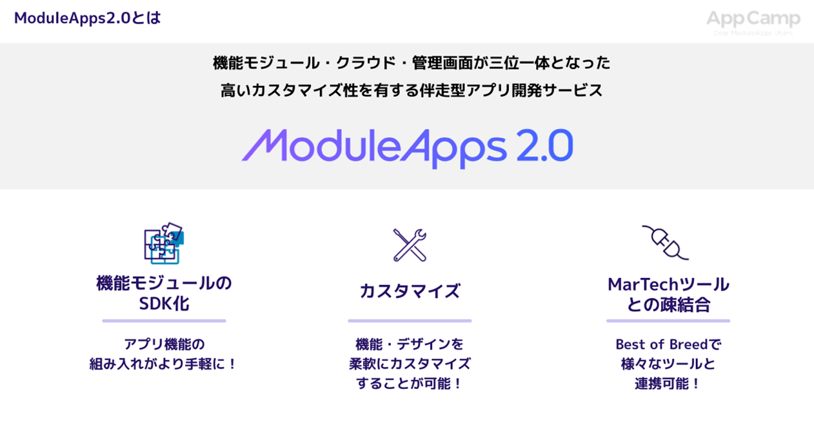 ModuleApps2.0とは