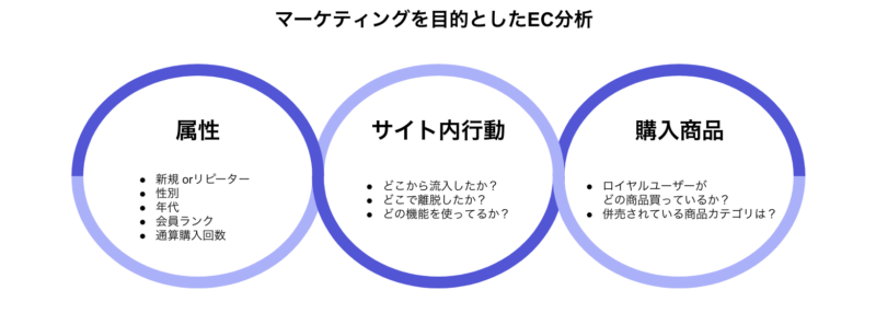 EC分析