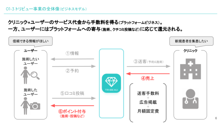 01-3 トリビュー事業の全体像（ビジネスモデル）