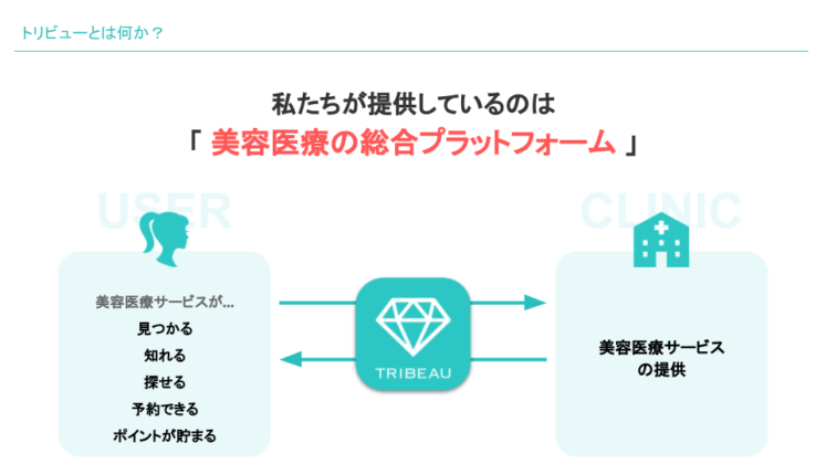 トリビューとは何か？
